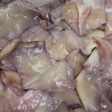 Aletas de Calamar