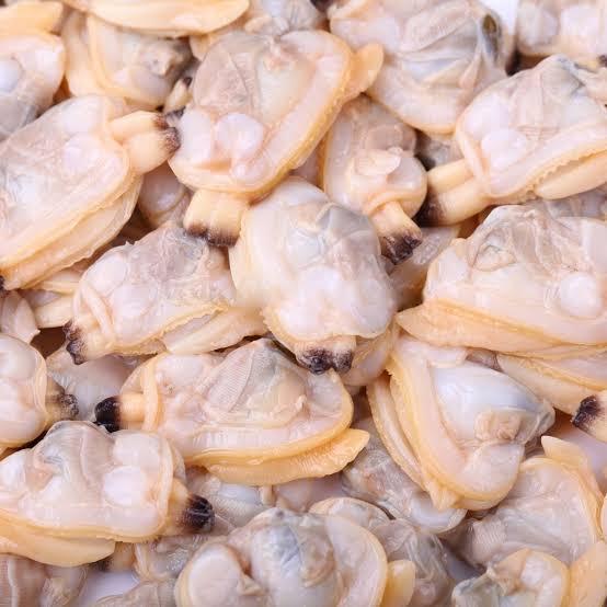 Almejas peladas