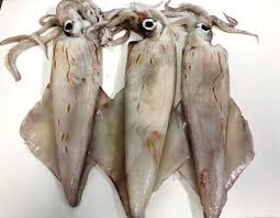 Bastones de pescado