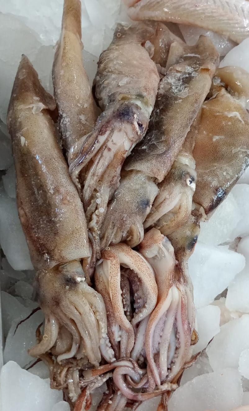 Calamares