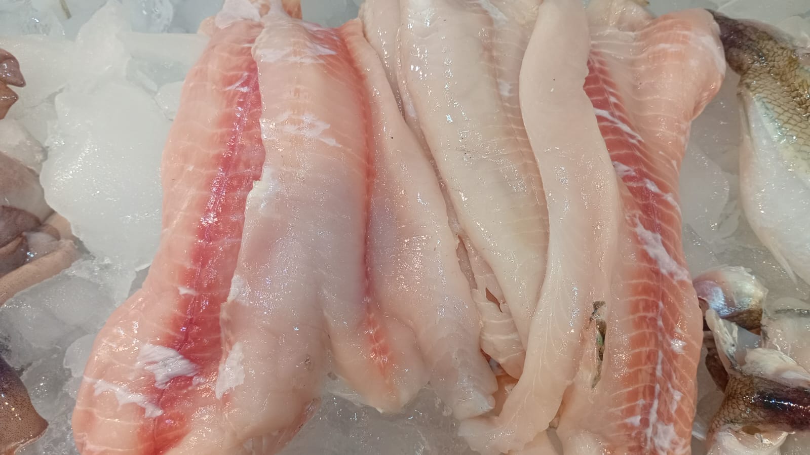 Filete de Tarucha