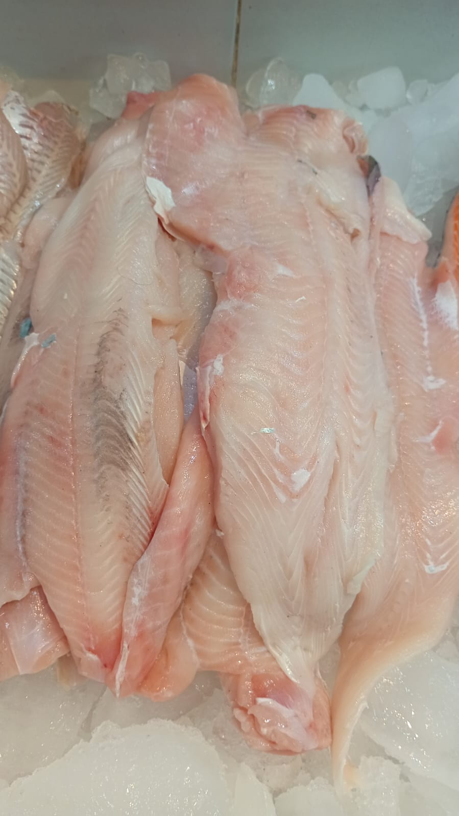 filete de Gallo