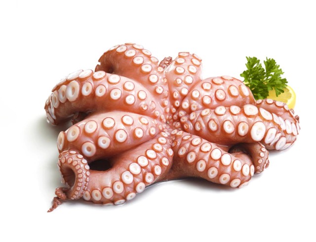 Pulpo Español