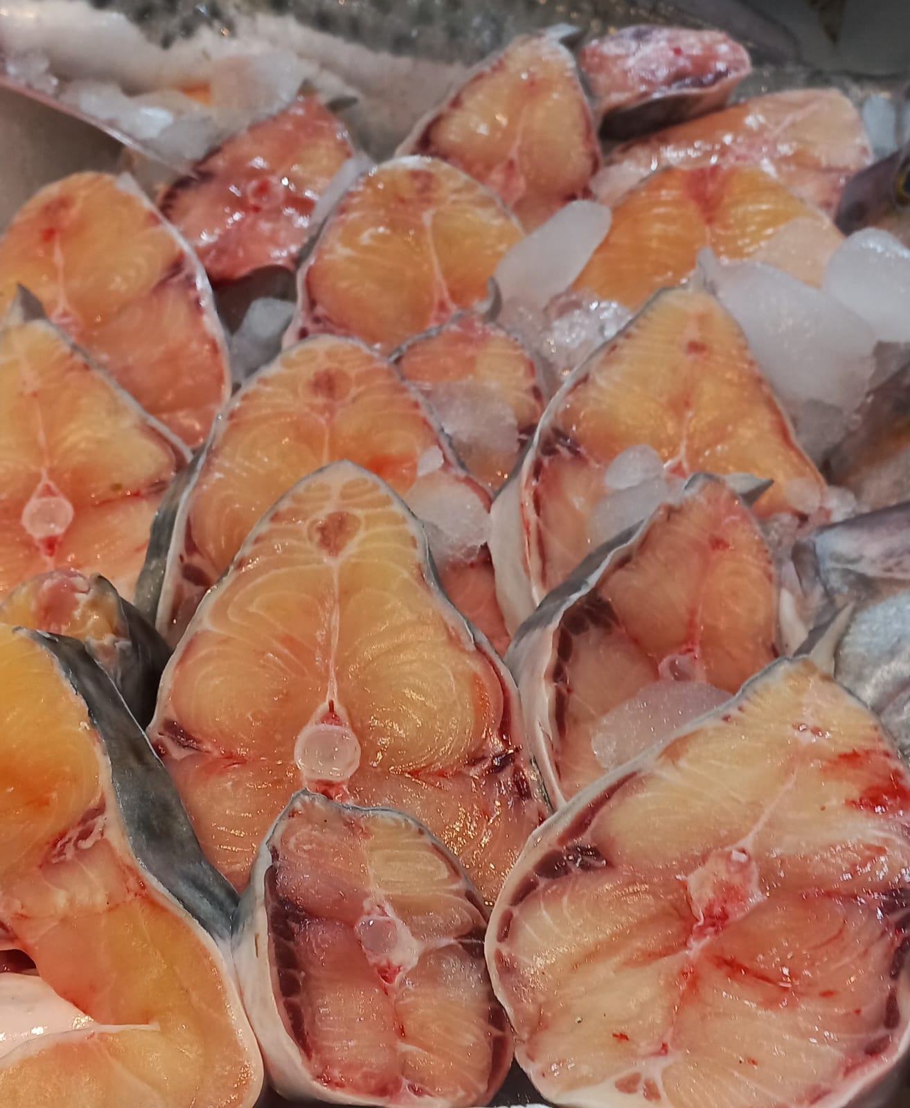 Rodaas de Patí