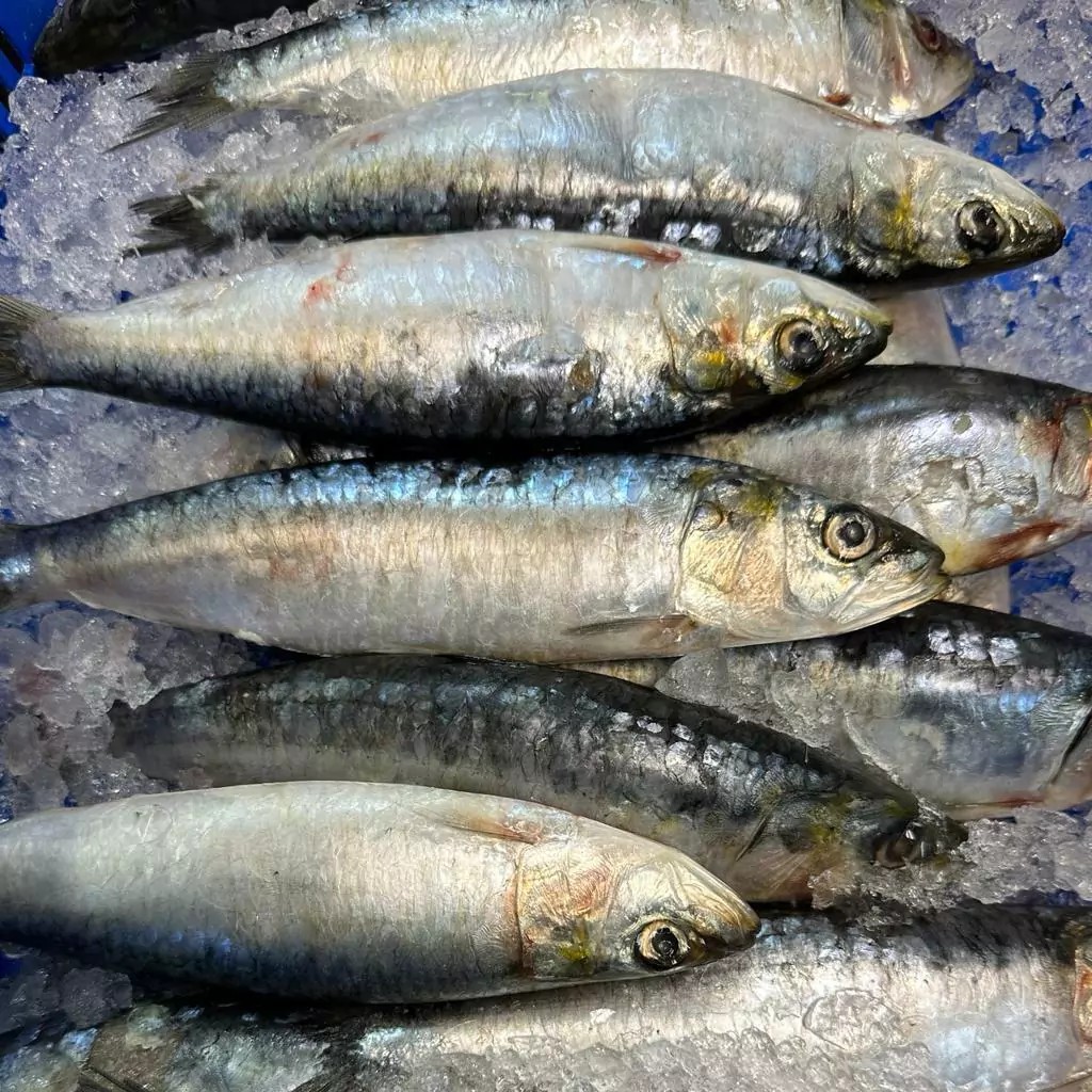 Sardinas Portuguesas