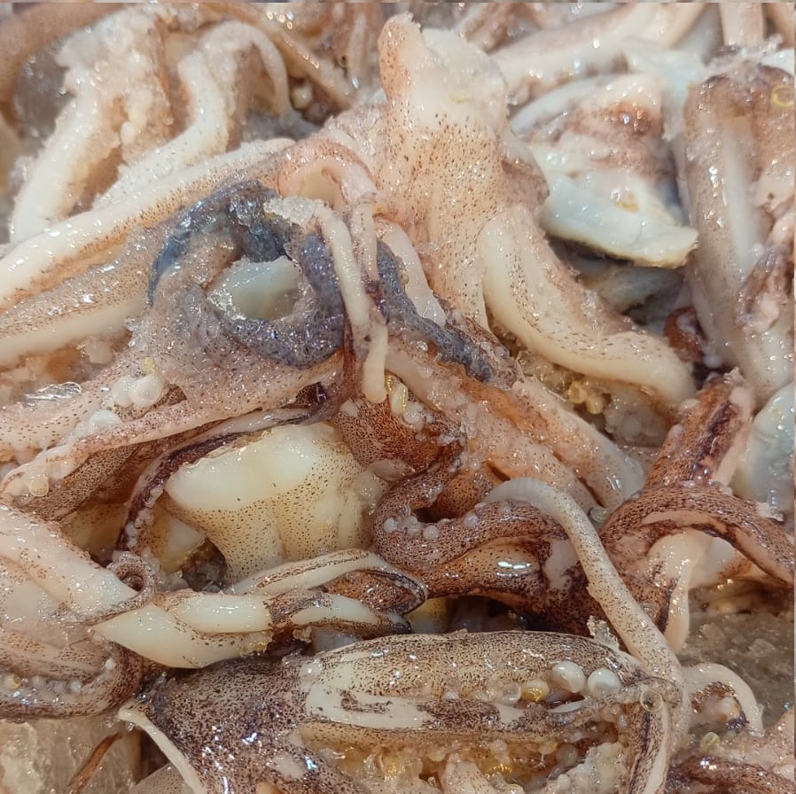 Tentáculos de Calemar